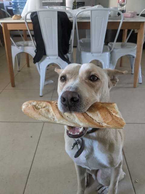 The baguette heist — her proudest moment
